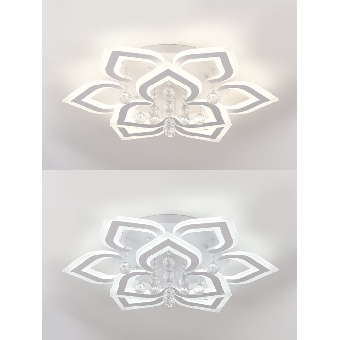 LED LAMPS 81158