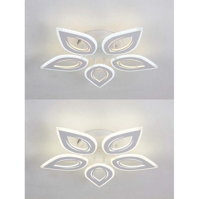 LED LAMPS 81123/5C