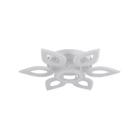 LED LAMPS 81123/6C