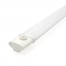 48155