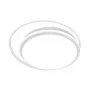 LED LAMPS 81186