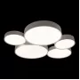 10218 White