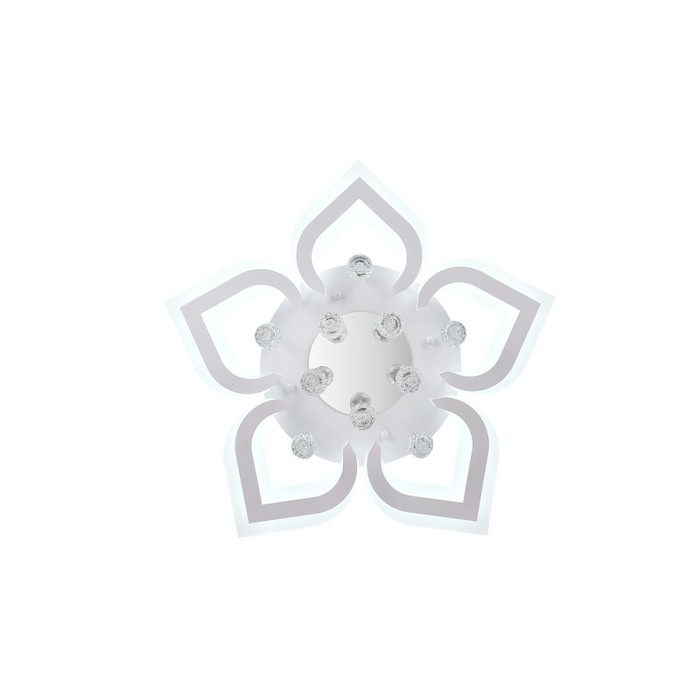 LED LAMPS 81159