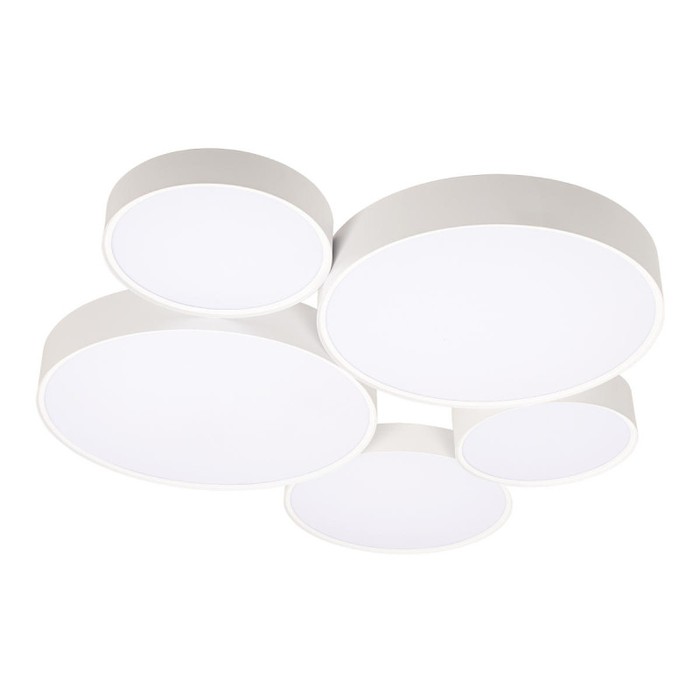 10218 White