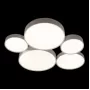 10218 White