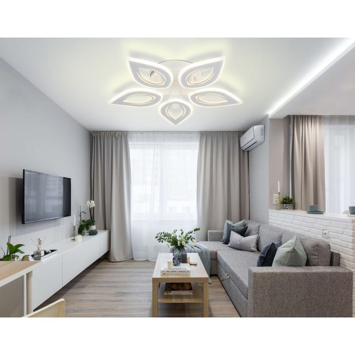 LED LAMPS 81123/5C