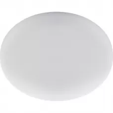 41568