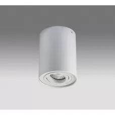 5600 white