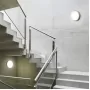 41893