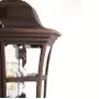 11698