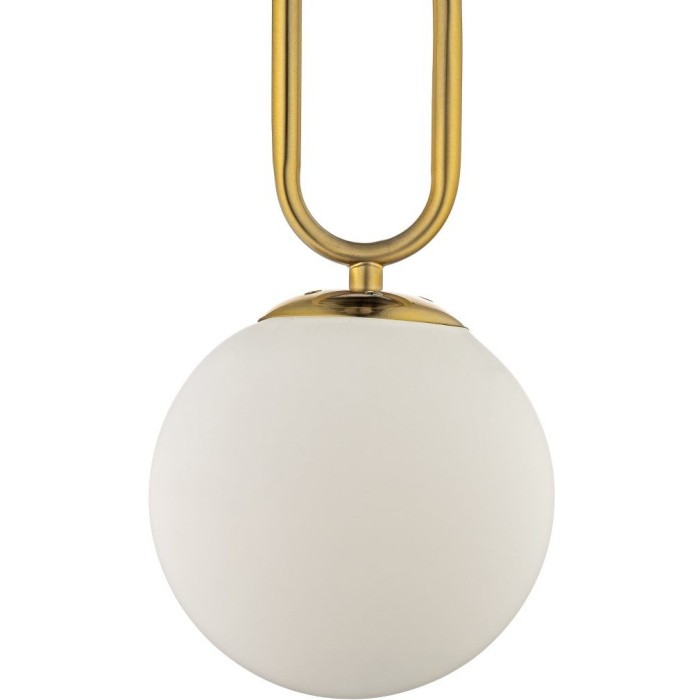 Canelli L 1.P2 W