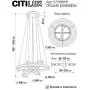 CL719681