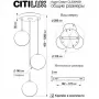 CL228A031