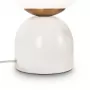 FR5288TL-01W