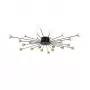 FR5242CL-24B