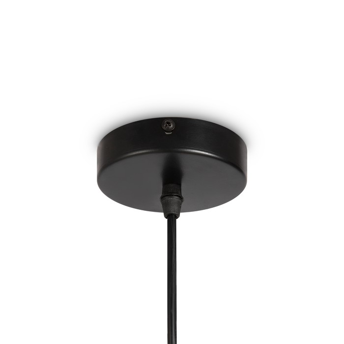 FR5247PL-01BG1