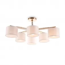 FR5386CL-06G