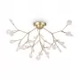 FR5049CL-36G