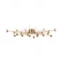 FR5242CL-24BS