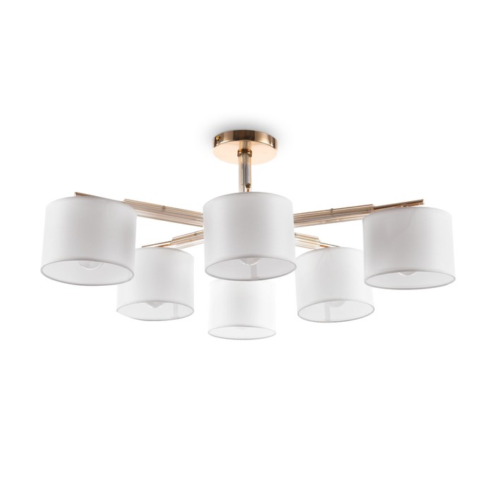 FR5386CL-06G