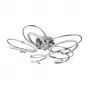 FR6017CL-L60CH