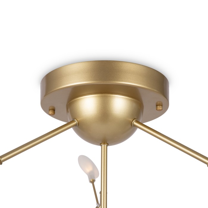 FR5049CL-36G