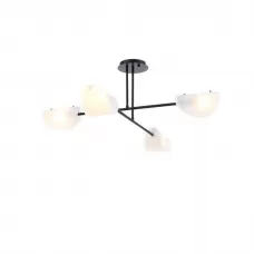 FR5228PL-04B