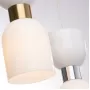 FR5203PL-01BS