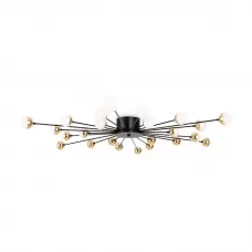 FR5242CL-24B
