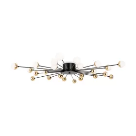 FR5242CL-24B