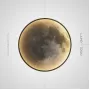 cosmos-moonlight-l-cold