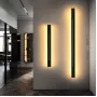 souris-s-gold-warm-light