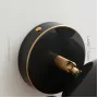 bear-w-brass