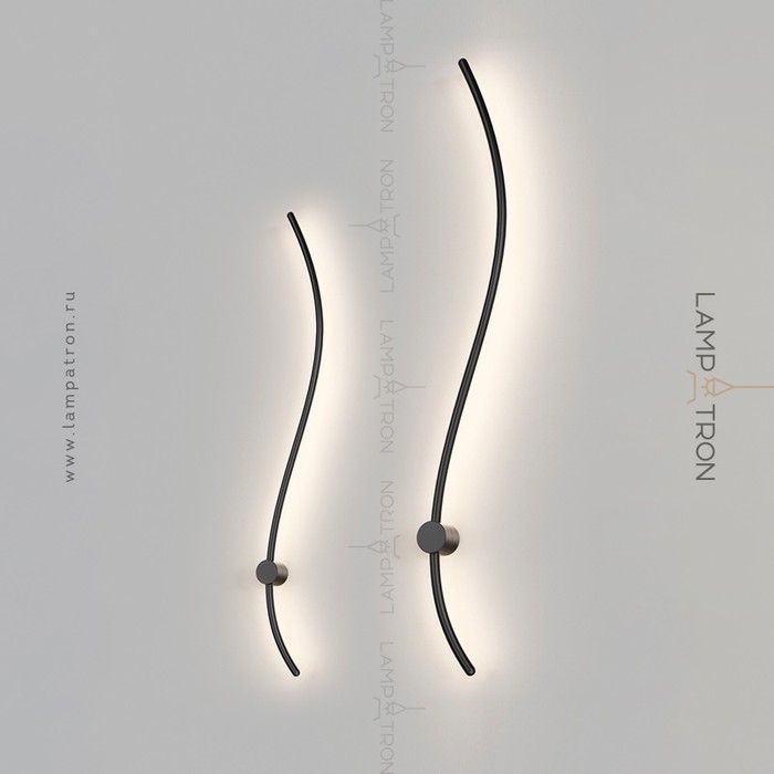 reidi-s-white-light