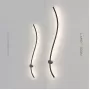 reidi-s-white-light
