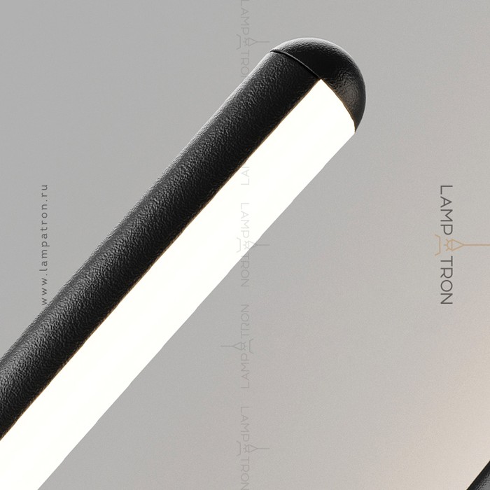 reidi-s-white-light