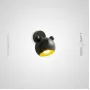 bear-w-brass