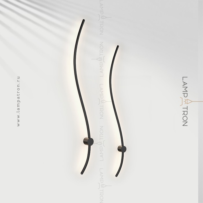 reidi-s-white-light