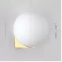 polly-2