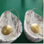 clam-white
