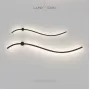 reidi-s-white-light