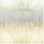 LABEL-WALL01
