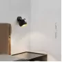 bear-w-brass