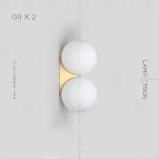 polly-2