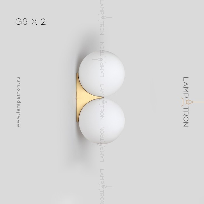 polly-2