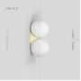 polly-2