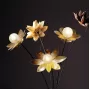 lotus-a