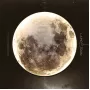 cosmos-moon-m