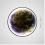 cosmos-earth-l