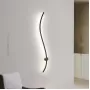 reidi-s-white-light